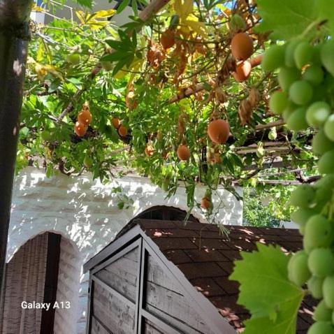 איזולה Apartment Stari Klesar מראה חיצוני תמונה